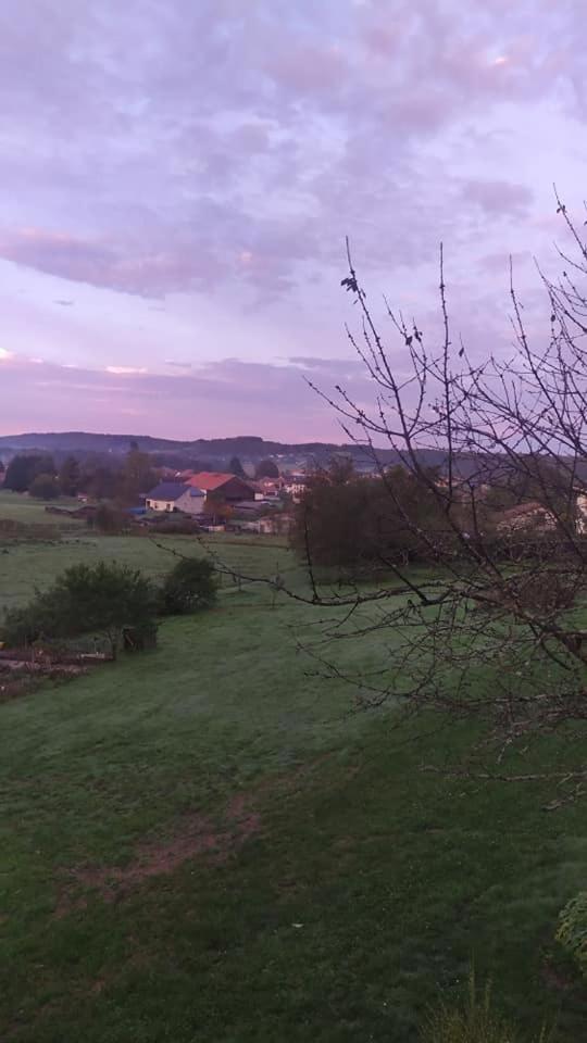 Gite Le Charme D'Argent Charmois-devant-Bruyeres Kültér fotó